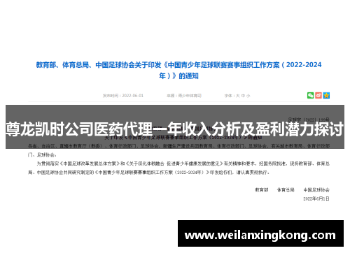 尊龙凯时公司医药代理一年收入分析及盈利潜力探讨
