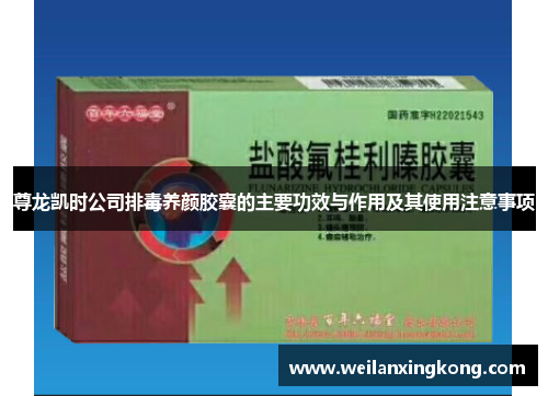 尊龙凯时公司排毒养颜胶囊的主要功效与作用及其使用注意事项