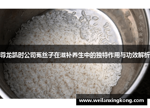 尊龙凯时公司菟丝子在滋补养生中的独特作用与功效解析